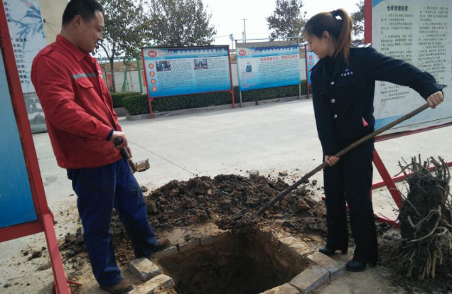 播下绿色树种,放飞中国伟志的希望 播下绿色树种,放飞中国伟志的希望