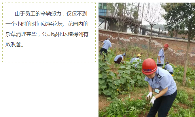 员工冒雨参加义务劳动!感动———伟志钢模板厂家 员工冒雨参加义务劳动!感动———伟志钢模板厂家