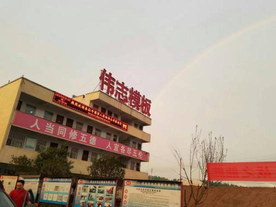 图片15 图片15