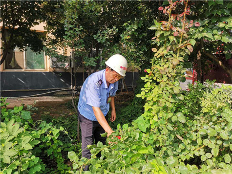 河南桥梁钢模板厂家——美丽的花园，来自辛勤的劳动