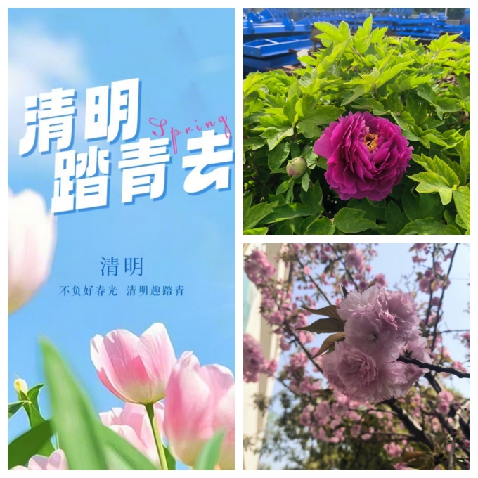 清明节,去踏春吧 清明节,去踏春吧